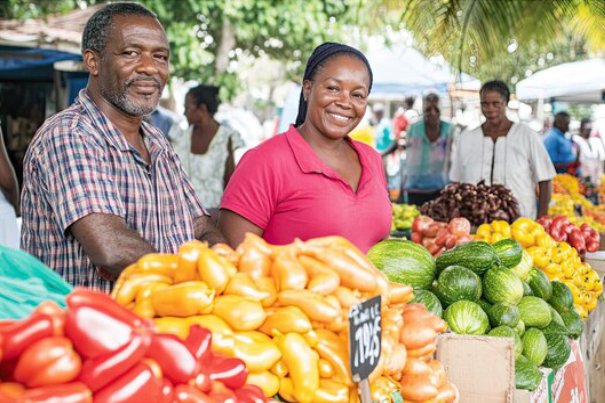 Affordable funding for groups, cooperatives, and SMEs operating under a group model. Encourages shared responsibility while unlocking access to much-needed capital.